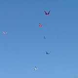 Penvins-festival -2006 -0274
